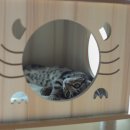 고려 수 타워 이미지