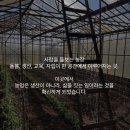 상근농장 이미지