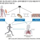 "운동 2~3시간 전에 섭취하세요" 질산염, 산화질소(NO) 생체이용률 증가 이미지