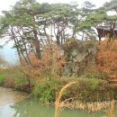 한성유도관 | 나주 단풍정(丹楓亭).풍정(楓亭)