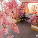 바니베어뮤지엄 이미지