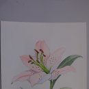 [주말]보테니컬 아트 이미지