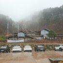 대관령 치유의 숲 이미지