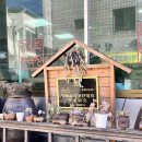 강계 | 현지맛집 충주 볼거리 놀거리 내돈내산 깔끔하고 구수한 집밥 맛집이 생각난다면 강계화청국장 찐 후기