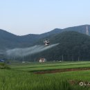 보령항공