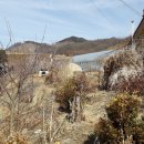 덕산면010 Daum카페