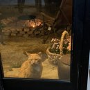 부여축산농협본점 이미지