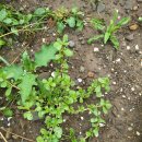 영부농장 이미지