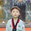 대호태권도 이미지