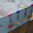 감귤박물관 | 제주 여행 입장료 어른 1,500원 감귤박물관 후기