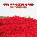 섬진강변 철쭉길 이미지