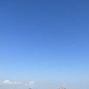 카르폰