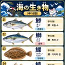 바다생물 21-30 이미지