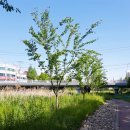 삼향천5 이미지