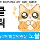 개냥이아울렛 - 서구 관저로 175 | 개냥이아울렛