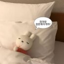 떡볶이가족 이미지