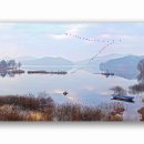 호숫가의아침 이미지