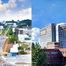 &#39;글로컬대학30&#39; 최종 발표! 이미지