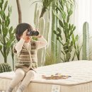 쁘띠마레 이미지