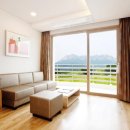 소노캄 델피노 A . B 이미지