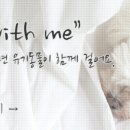 마요네식탁 네이버블로그