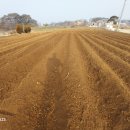 한길타조농장 이미지