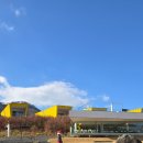 모아이 | 🌿가평 힐링 플레이스 '모아이' 카페 방문 후기