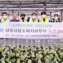 김동석농가 이미지