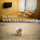 라라 펜션 | 경남 통영 라라 애견 펜션 편백스파 야외 운동장 방문 후기