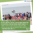 창바우(신창2리)어촌체험휴양마을 이미지