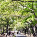 비둘기근린공원 이미지