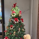 토요크레파스 이미지