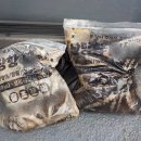 충남 | 충남 홍성 쭈꾸미 선상낚시 체험 후기 남당항에서 출조하는 낚시배 많습니다