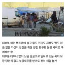 유럽의 저렴한 과일, 채소물가의 비결.jpg 이미지