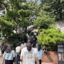 세종특별자치시교육청 이미지