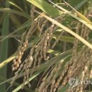 금곡농약 이미지