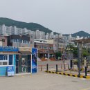 남파랑길 56코스(2025.5.31) 이미지