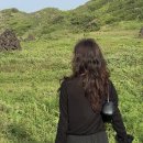 제주도화 - 99004 | 노형동미용실 열펌 잘하는 곳 찾는다면? 아씬 도화디자이너 후기