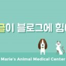 가인동물병원 이미지