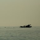 나로도바다 이미지