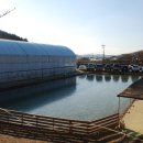 백경수낚시터 이미지