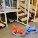 제주도야지 파주운정점 이미지