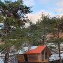 트리하우스 이미지