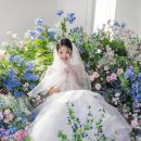 더미스튜디오