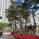 엘지슈퍼렛 이미지