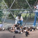 안다미로 스테이 이미지