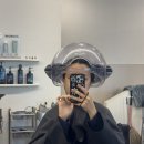 중랑구 상봉미용실 해드 헤어 상봉본점 아윤채 클리닉 현우 원장 솔직 후기