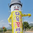 다육꽃세상 이미지