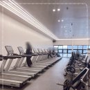 다이아 짐 이미지