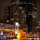 상징분수, 워터월 이미지